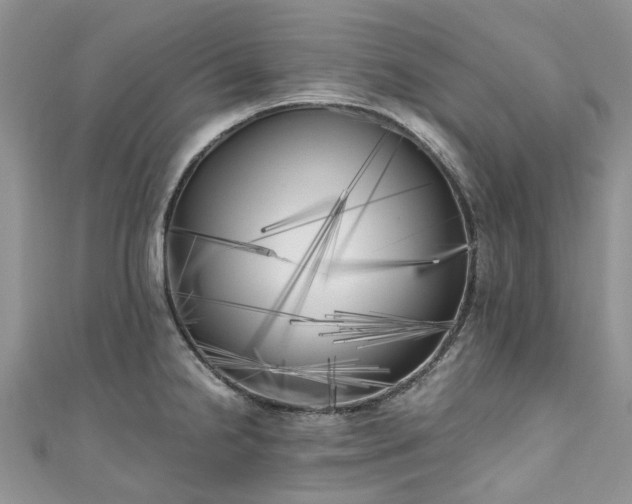 X0000111011238200906261513