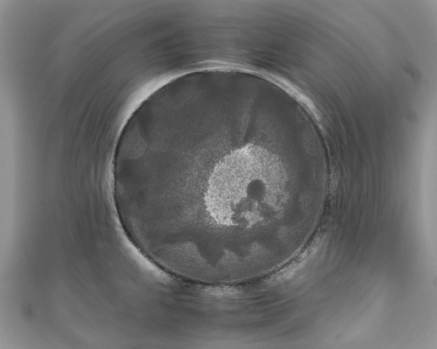 X0000111011239200906261513