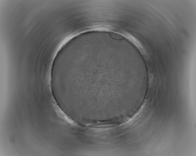 X0000111011240200906261513