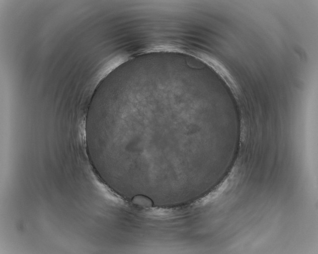 X0000111011241200906261513