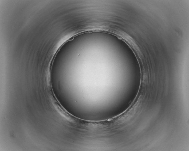 X0000111011242200906261513