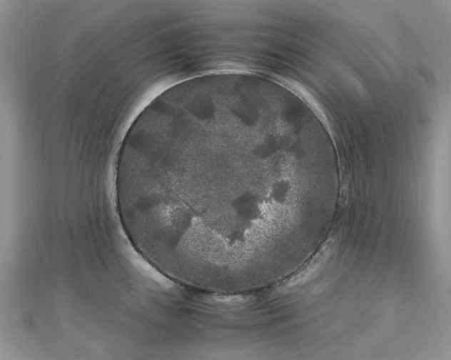 X0000111011243200906261513