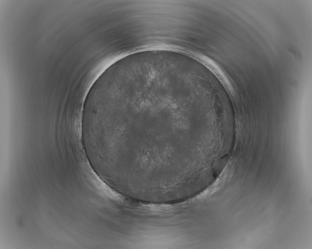 X0000111011244200906261513
