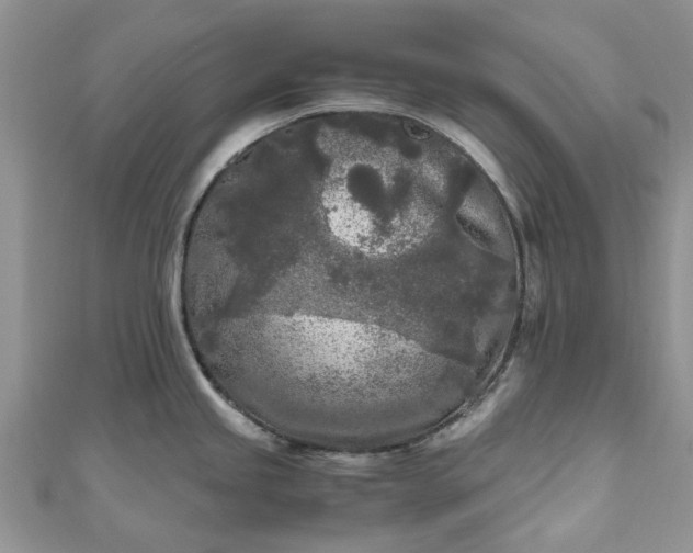 X0000111011245200906261513