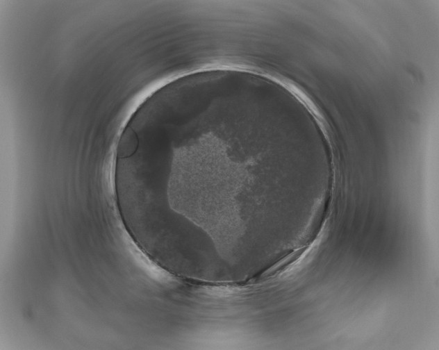 X0000111011246200906261513