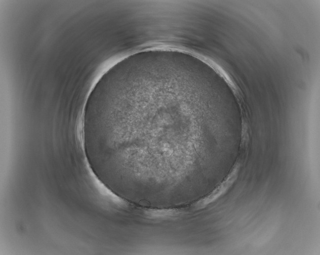 X0000111011247200906261513