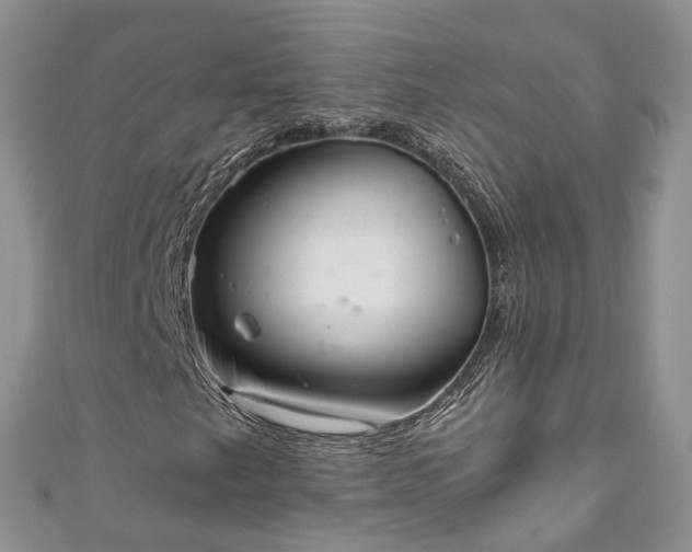 X0000111011249200906261512