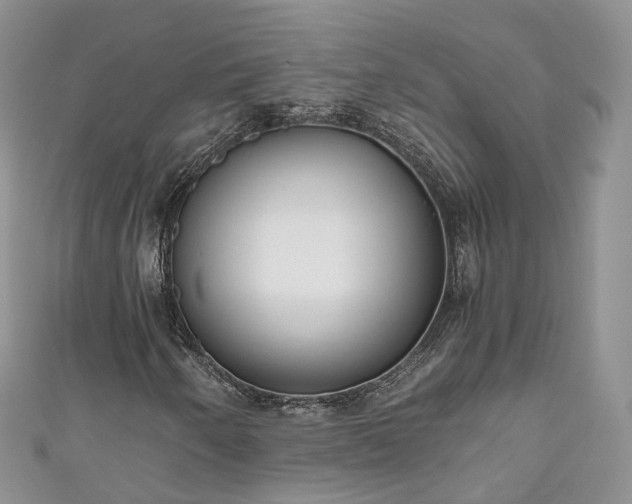 X0000111011250200906261512