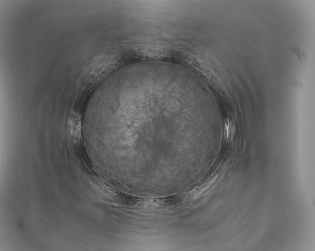 X0000111011251200906261512