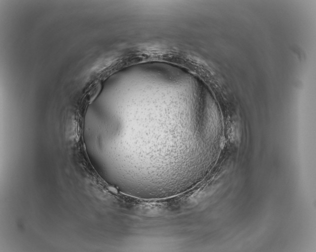 X0000111011253200906261512