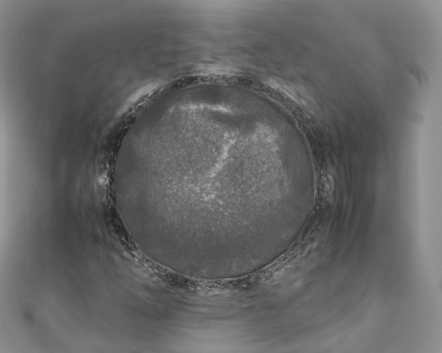 X0000111011254200906261512