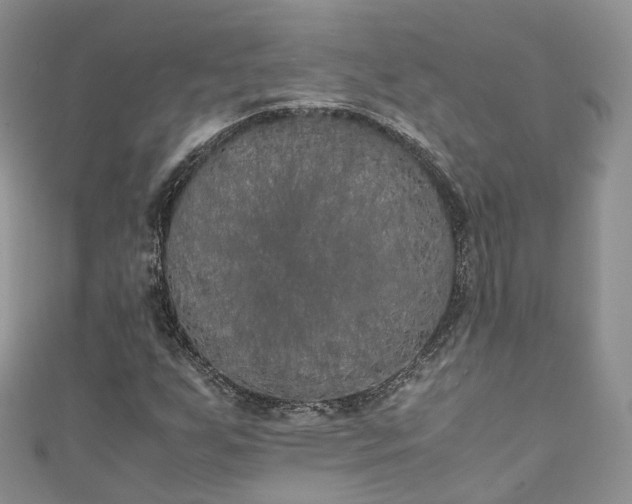X0000111011255200906261512
