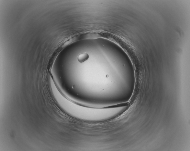 X0000111011257200906261512