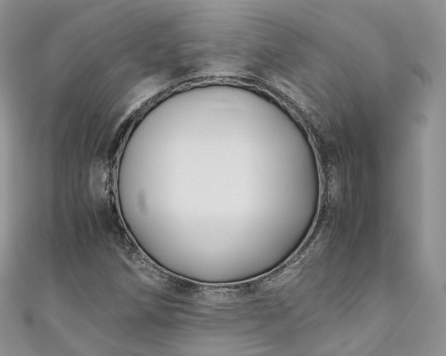 X0000111011258200906261512