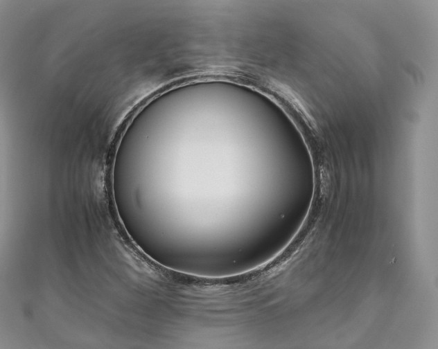 X0000111011260200906261512