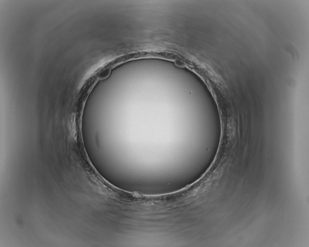 X0000111011262200906261512