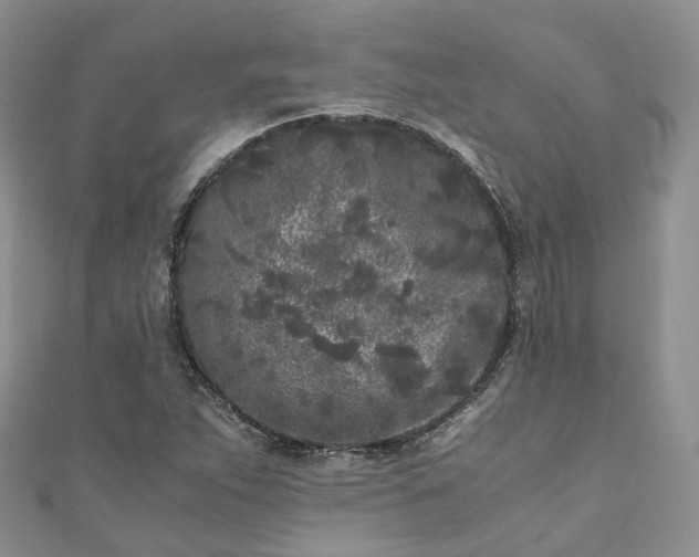 X0000111011263200906261512