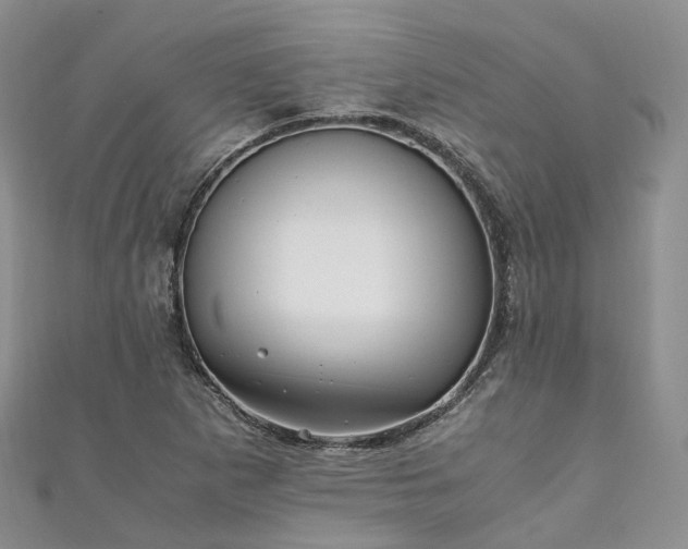 X0000111011265200906261512