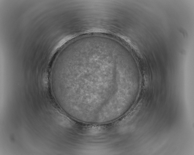 X0000111011266200906261512