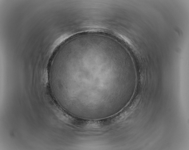 X0000111011267200906261512