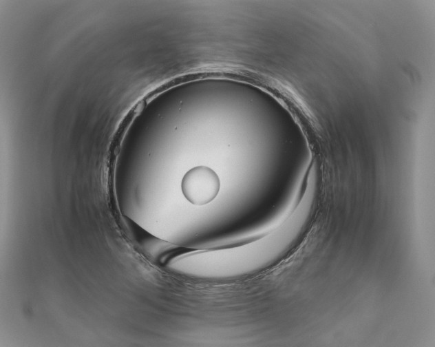 X0000111011268200906261512