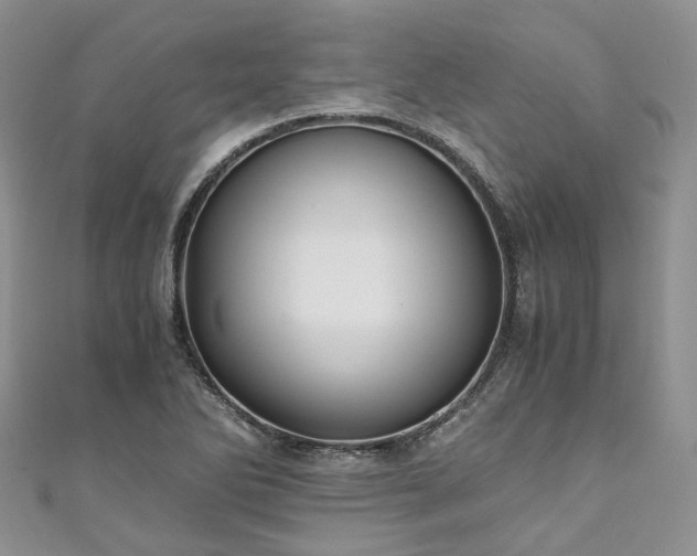 X0000111011270200906261512