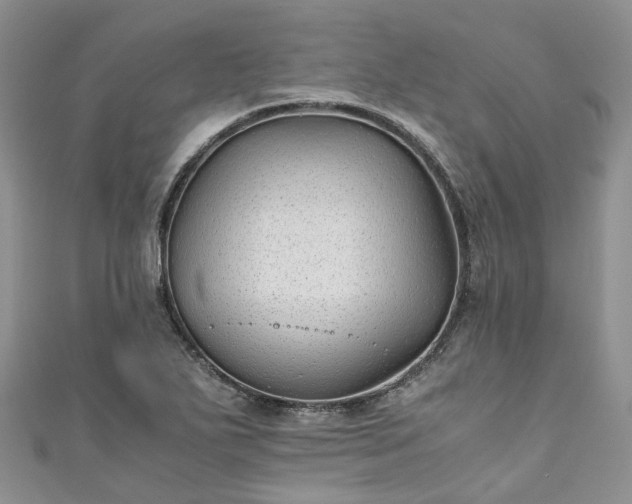 X0000111011271200906261512