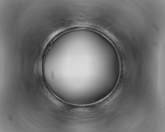 X0000111011272200906261512