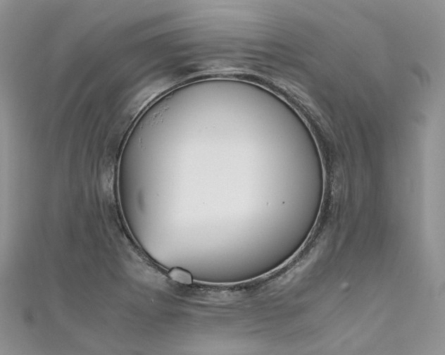 X0000111011273200906261512