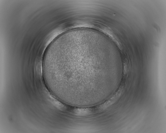 X0000111011274200906261512