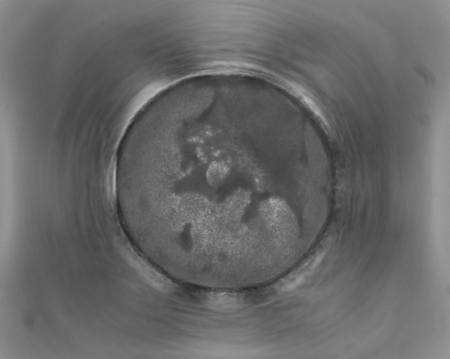 X0000111011275200906261512