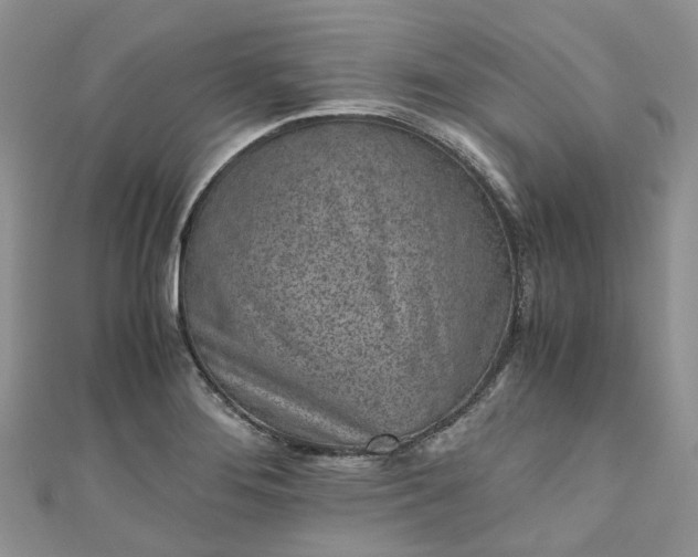 X0000111011276200906261512