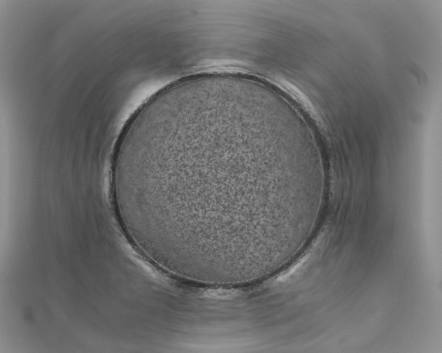 X0000111011277200906261512