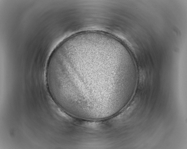 X0000111011278200906261512