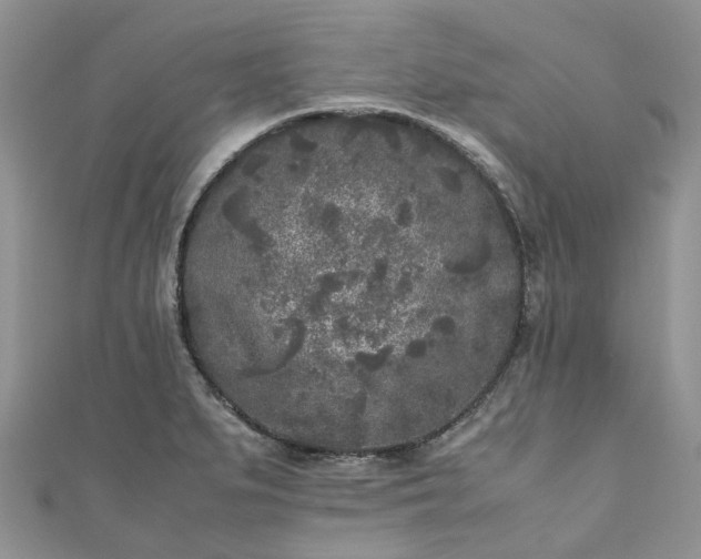 X0000111011279200906261512