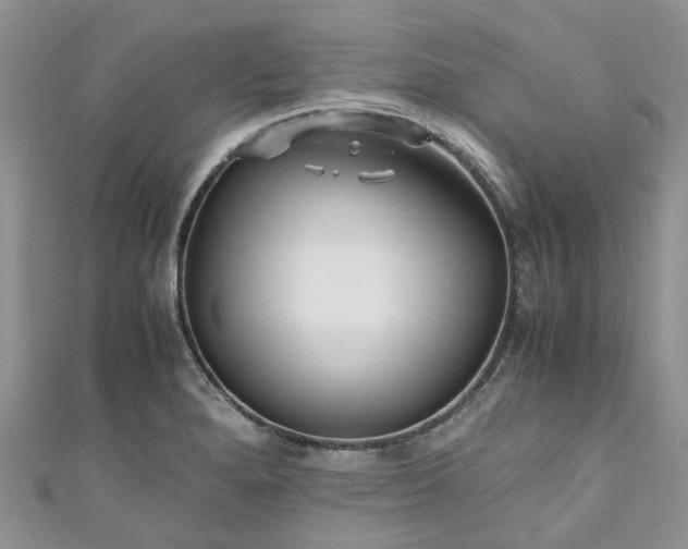 X0000111011280200906261512