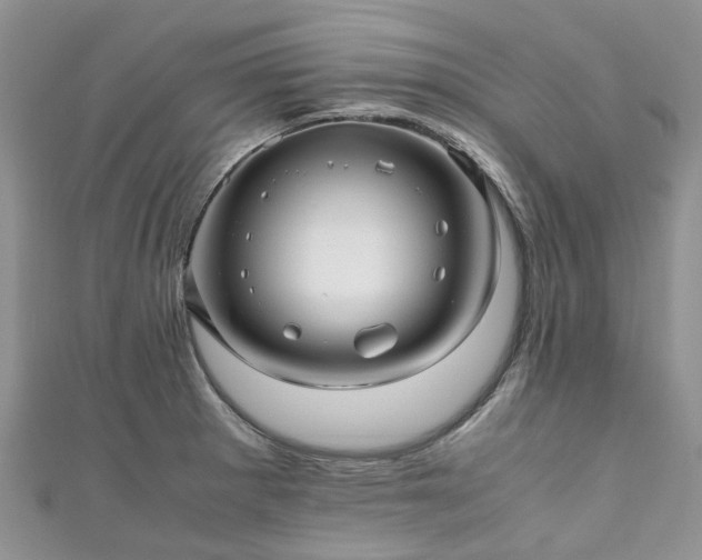 X0000111011281200906261512
