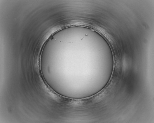 X0000111011282200906261512
