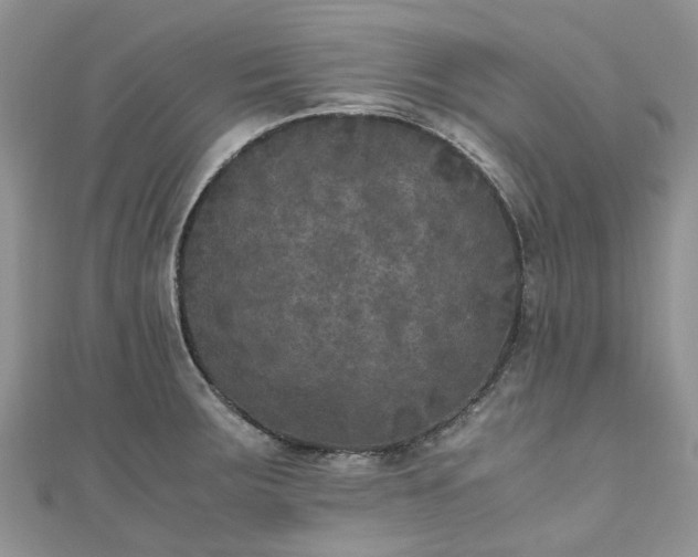 X0000111011283200906261512