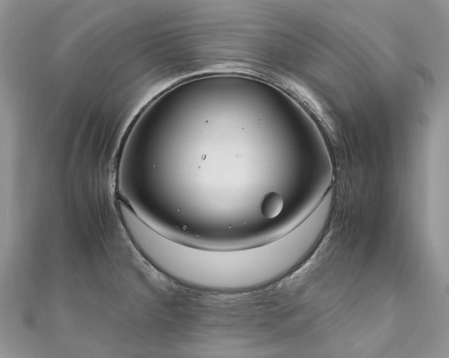 X0000111011284200906261512