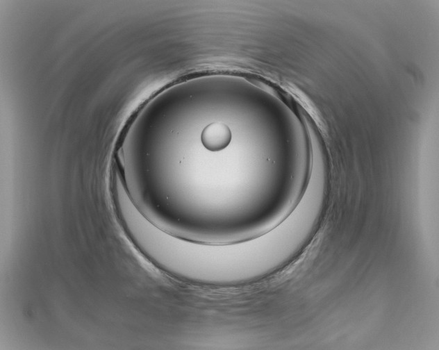X0000111011285200906261512