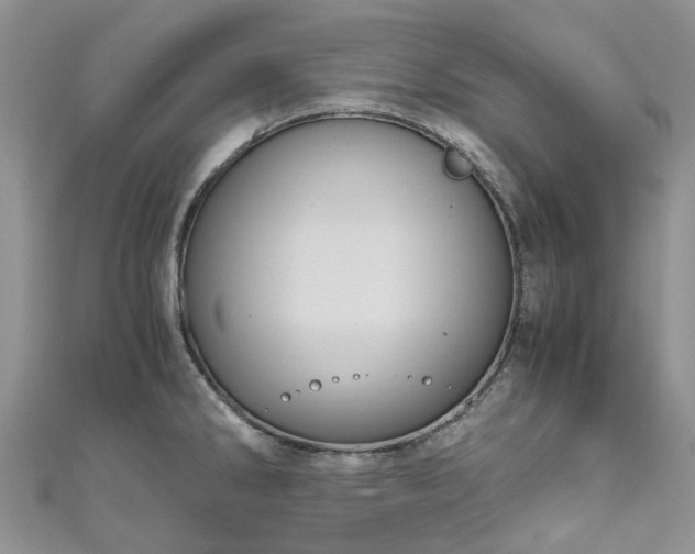 X0000111011286200906261512
