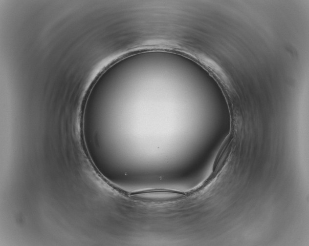 X0000111011288200906261512