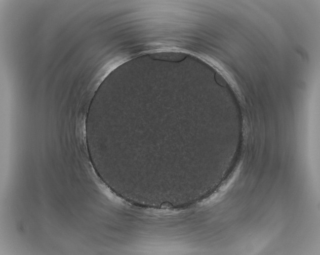 X0000111011289200906261512