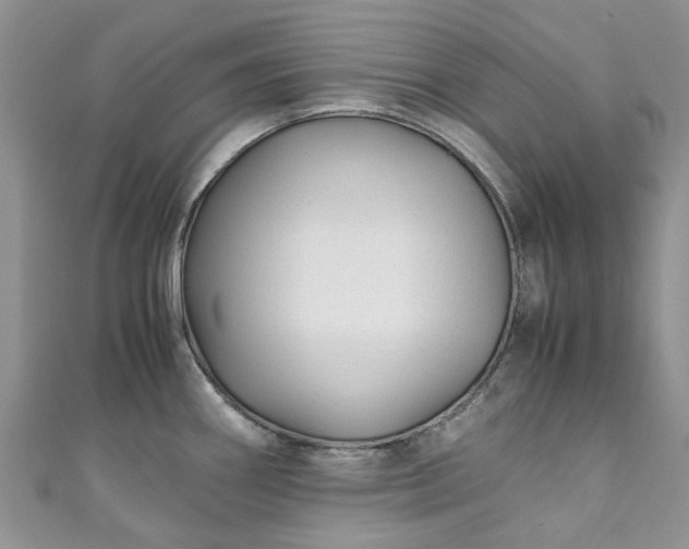 X0000111011290200906261512