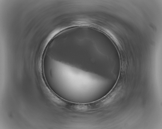 X0000111011291200906261512
