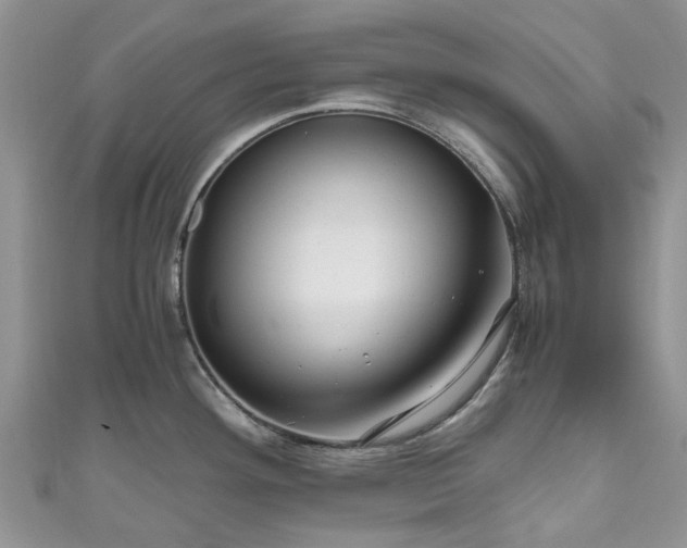 X0000111011292200906261512