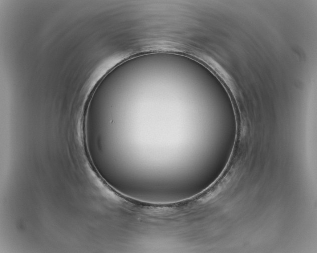 X0000111011293200906261512