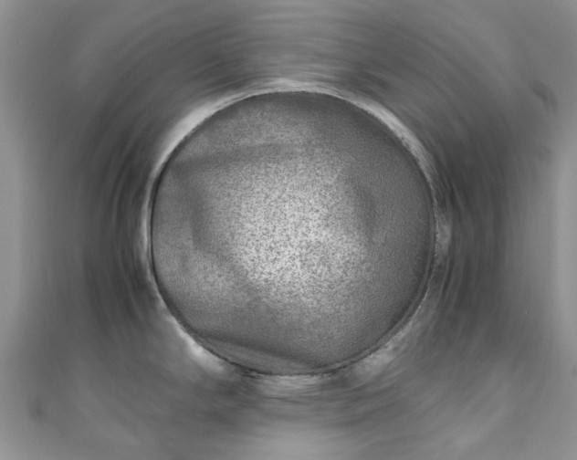 X0000111011294200906261512