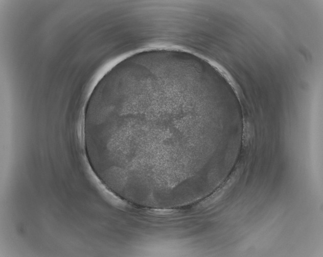 X0000111011295200906261512